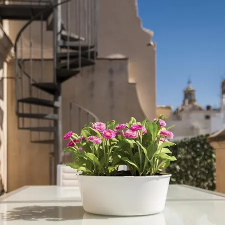 Genteel Vinuesa Seville